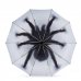 Obrátený dáždnik: Pavúk