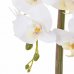 SPRINGOS Umelá orchidea v črepníku biela - 70cm