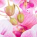 SPRINGOS Umelá orchidea v črepníku bielo-ružová - 60cm