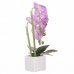 SPRINGOS Umelá orchidea v črepníku fialová - 37cm