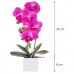 SPRINGOS Umelá orchidea v črepníku ružová - 37cm
