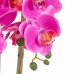 SPRINGOS Umelá orchidea v črepníku ružová - 55cm
