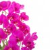 SPRINGOS Umelá orchidea v črepníku ružová - 60cm
