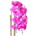 SPRINGOS Umelá orchidea v črepníku ružová - 70cm