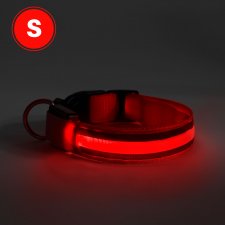 LED obojok - s akumulátorom - veľkosť S - červená