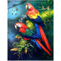 Diamantové maľovanie - výšivka - 30x40 cm - papagáje