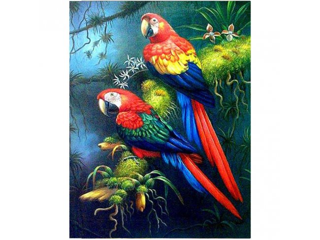 Diamantové maľovanie - výšivka - 30x40 cm - papagáje