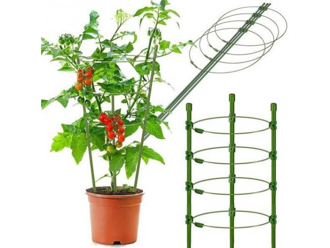 Springos Krúžková podpera pre rastliny a kvety - 120 cm - zelená