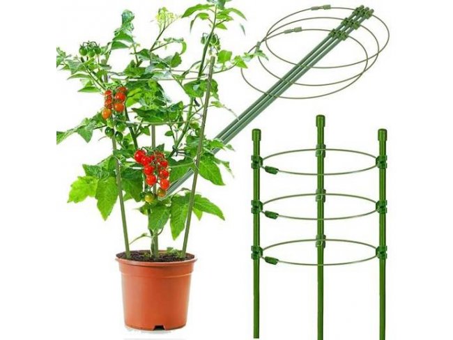 Springos Krúžková podpera pre rastliny a kvety - 60 cm - zelená