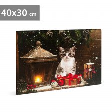 Vianočný LED obrázok - s vešiakom na stenu , 2 x AA, 40 x 30 cm