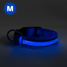 LED obojok - veľkosť M - modrá