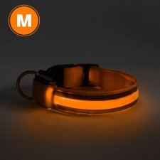 LED obojok - veľkosť M - oranžová