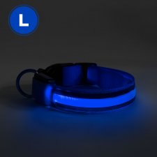 LED obojok - veľkosť L - modrá