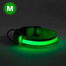 LED obojok  - veľkosť L - zelená