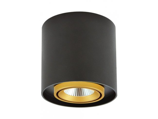 Podhľadové LED okrúhle svietidlo XENO 15W 3000K čierna – zlatá