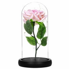 Springos Večná ruža v skle - Led - 22 cm - ružová / zelené listy