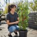 Springos Krúžková podpera pre rastliny a kvety - 60 cm - zelená