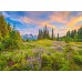 CASTORLAND Puzzle 2000 dielikov Blossoms of Morning - 92x68cm