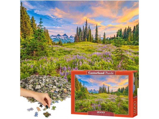 CASTORLAND Puzzle 2000 dielikov Blossoms of Morning - 92x68cm