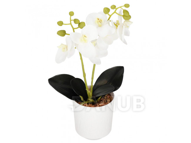 Springos Umelá orchidea v kvetináči - 33,5 cm - biela