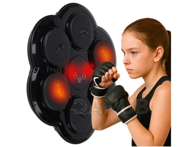 Boxerský trenažér na stenu - hudba, LED, USB, + rukavice