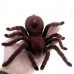 PAVÚK TARANTULA + DIAĽKOVÉ OVLÁDANIE PAVÚK TARANTULA + DIAĽKOVÉ OVLÁDANIE