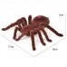 PAVÚK TARANTULA + DIAĽKOVÉ OVLÁDANIE PAVÚK TARANTULA + DIAĽKOVÉ OVLÁDANIE