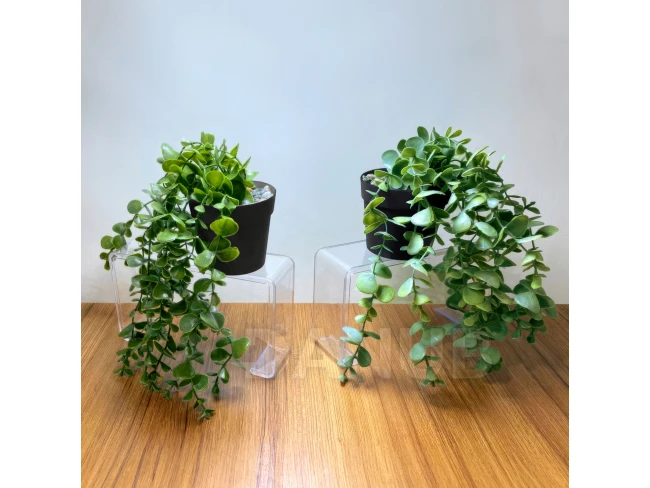 Umelá rastlina - v črepníku, plazivá - 16 x 26 cm