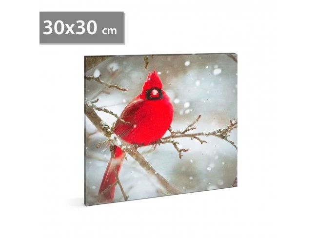 LED obraz - kardinál červený - 30 x 30 cm